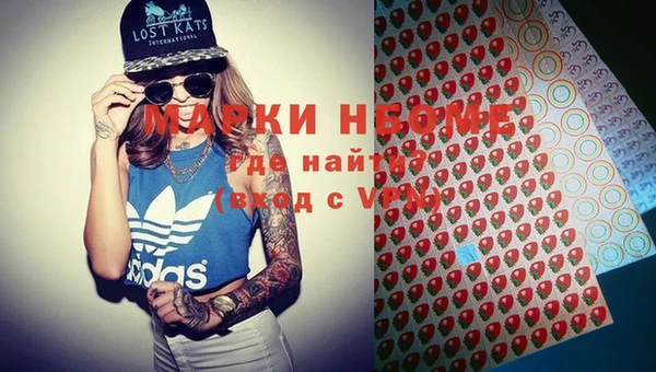 шишки Арсеньев