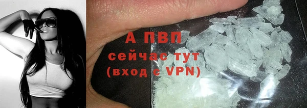 шишки Арсеньев