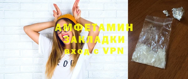 шишки Арсеньев