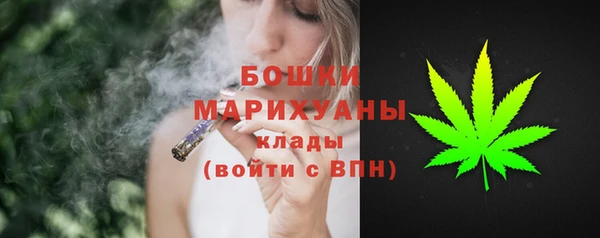 шишки Арсеньев