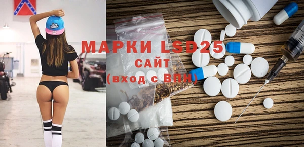 шишки Арсеньев