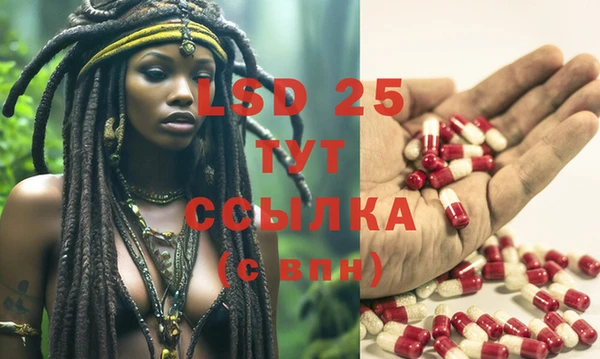 скорость Аркадак