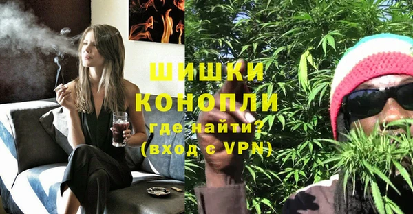 шишки Арсеньев