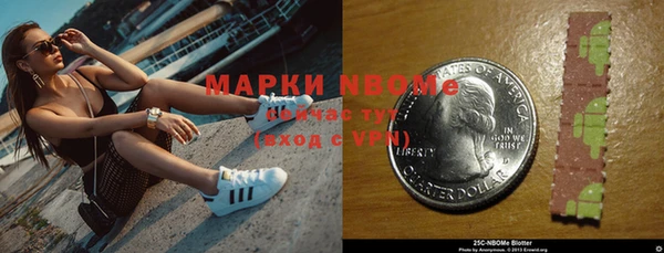 шишки Арсеньев