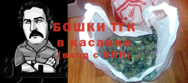 шишки Арсеньев