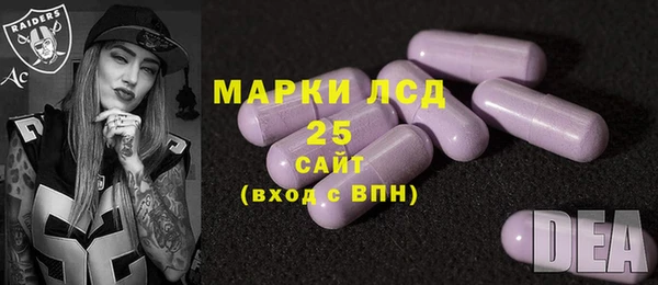 шишки Арсеньев