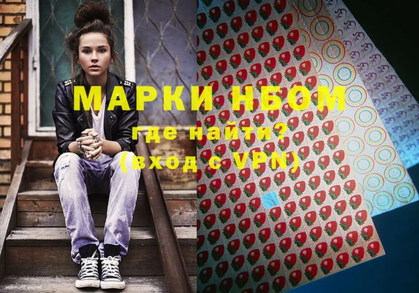 шишки Арсеньев